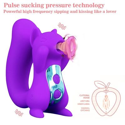 10 Frekuensi Nipple Clit Vibrator Sex Toy Squirrel Sucker ROHS Disetujui