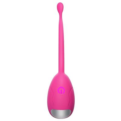OEM Silicone Bullet Egg Vibrator Remote Control Nirkabel IPX7 Tahan Air